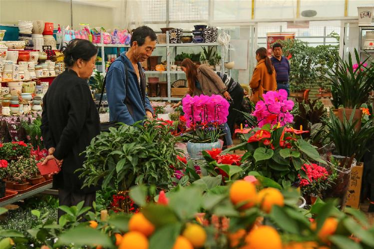 【第一眼】春意濃 花俏俏 你家的春來來了嗎？