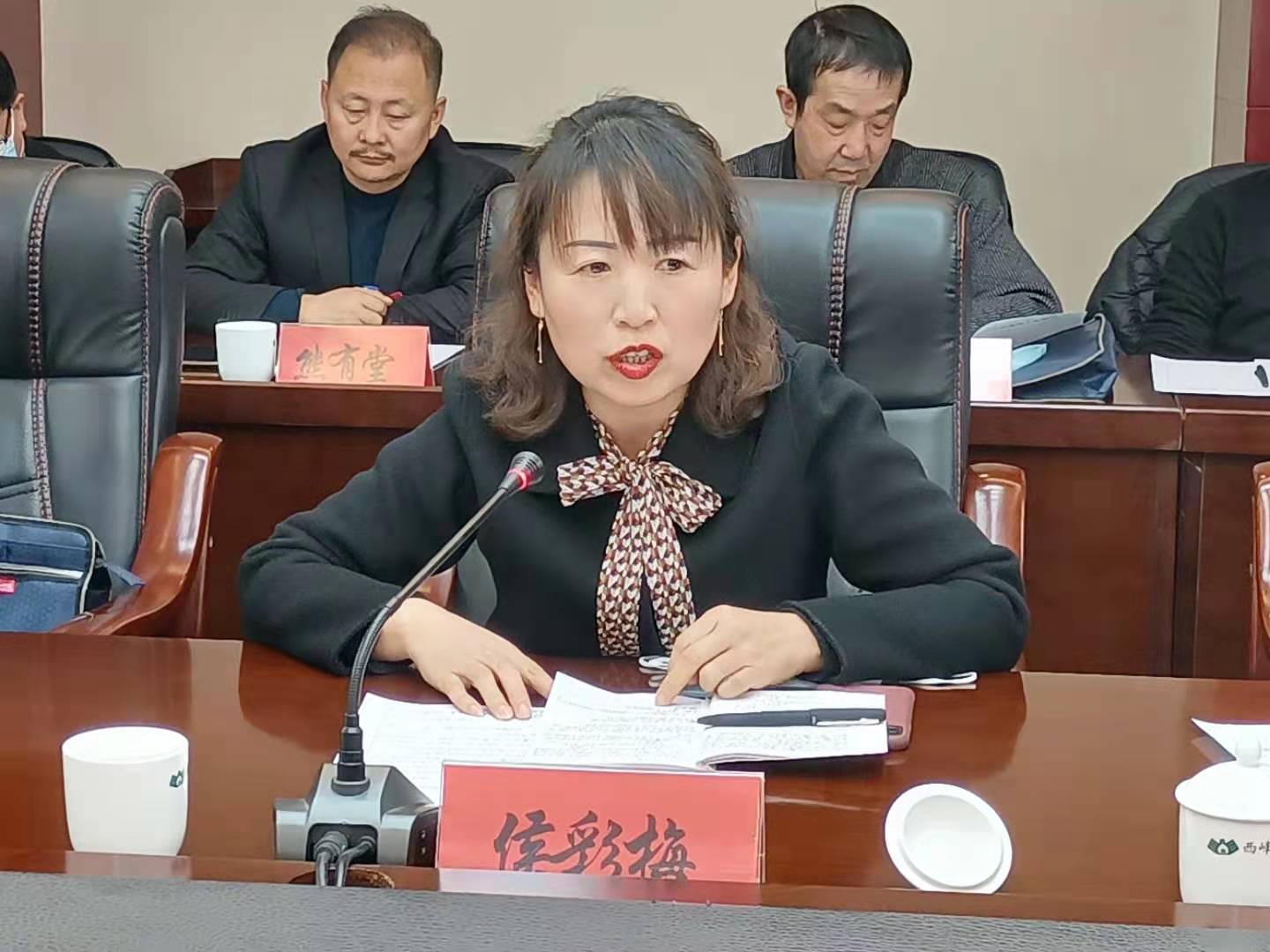 【代表委員建言】侯彩梅委員：進一步規(guī)范農(nóng)村中小學體育教學