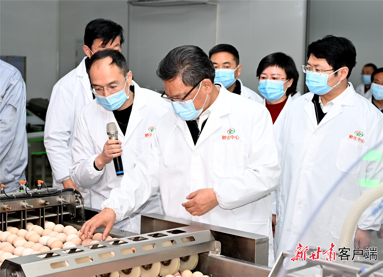任振鶴在慶陽調(diào)研時強調(diào)：用新思想指引新征程，以新發(fā)展書寫新答卷，真抓實干推動新時代革命老區(qū)振興發(fā)展