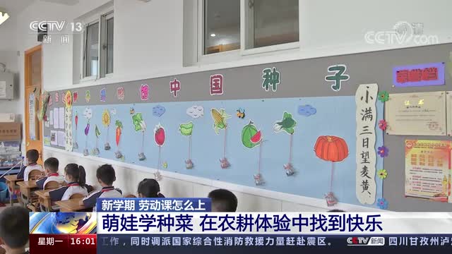 新學(xué)期，勞動(dòng)課怎么上？央視《新聞直播間》關(guān)注北師大慶陽附校農(nóng)耕體驗(yàn)課