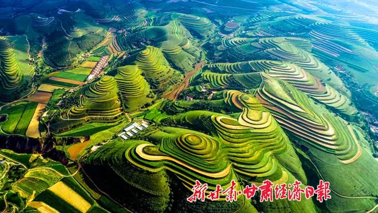 “羊”名立萬正當(dāng)時——環(huán)縣念羊經(jīng)、興羊業(yè)、發(fā)羊財促進鄉(xiāng)村振興發(fā)展