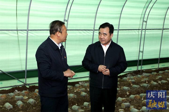 黃澤元在合水縣調研時強調 轉作風提效能狠抓工作落實 強項目興產業(yè)增強發(fā)展后勁