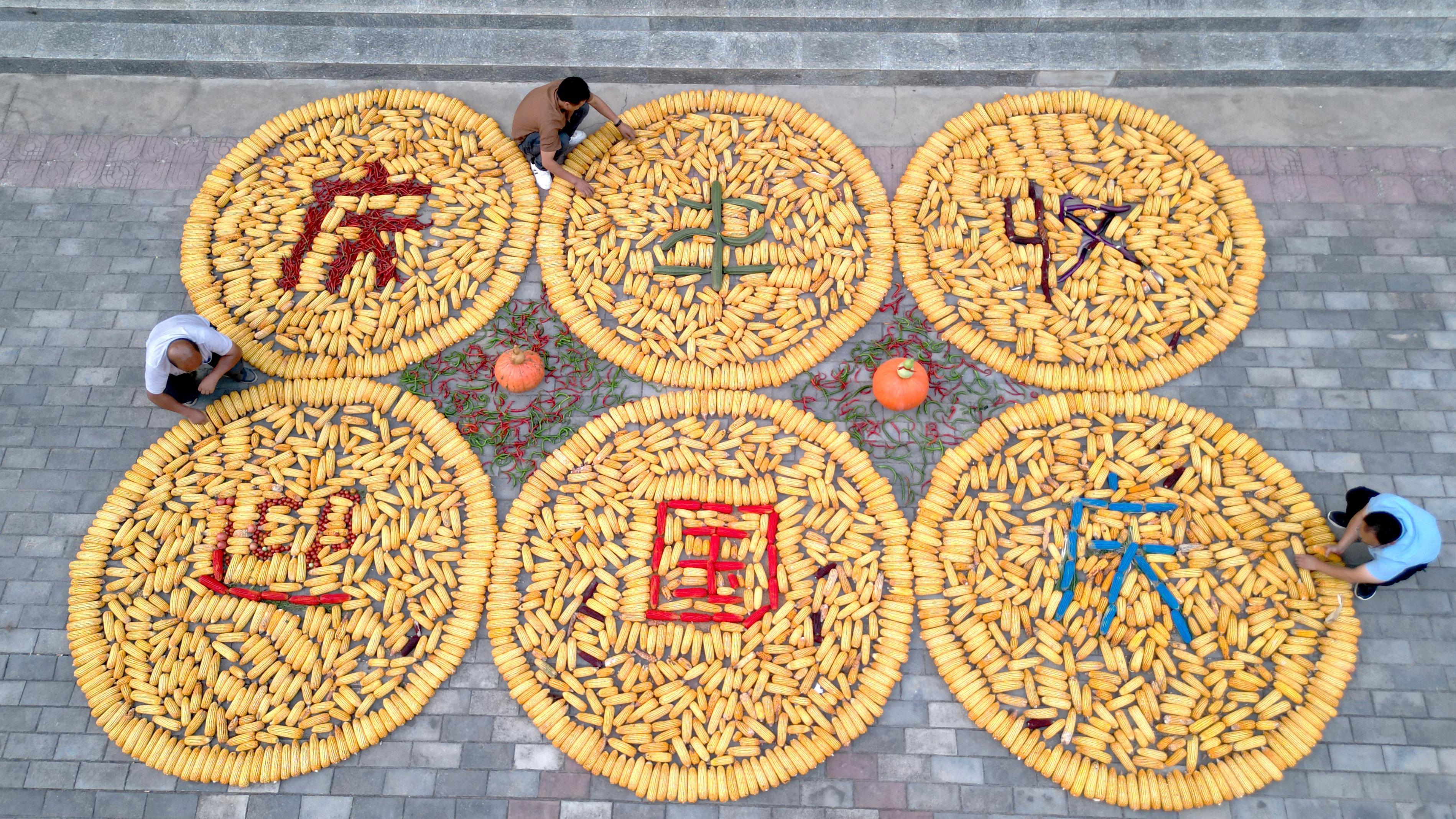甘肅慶陽(yáng)市西峰區(qū)：創(chuàng)意曬秋 樂享豐收