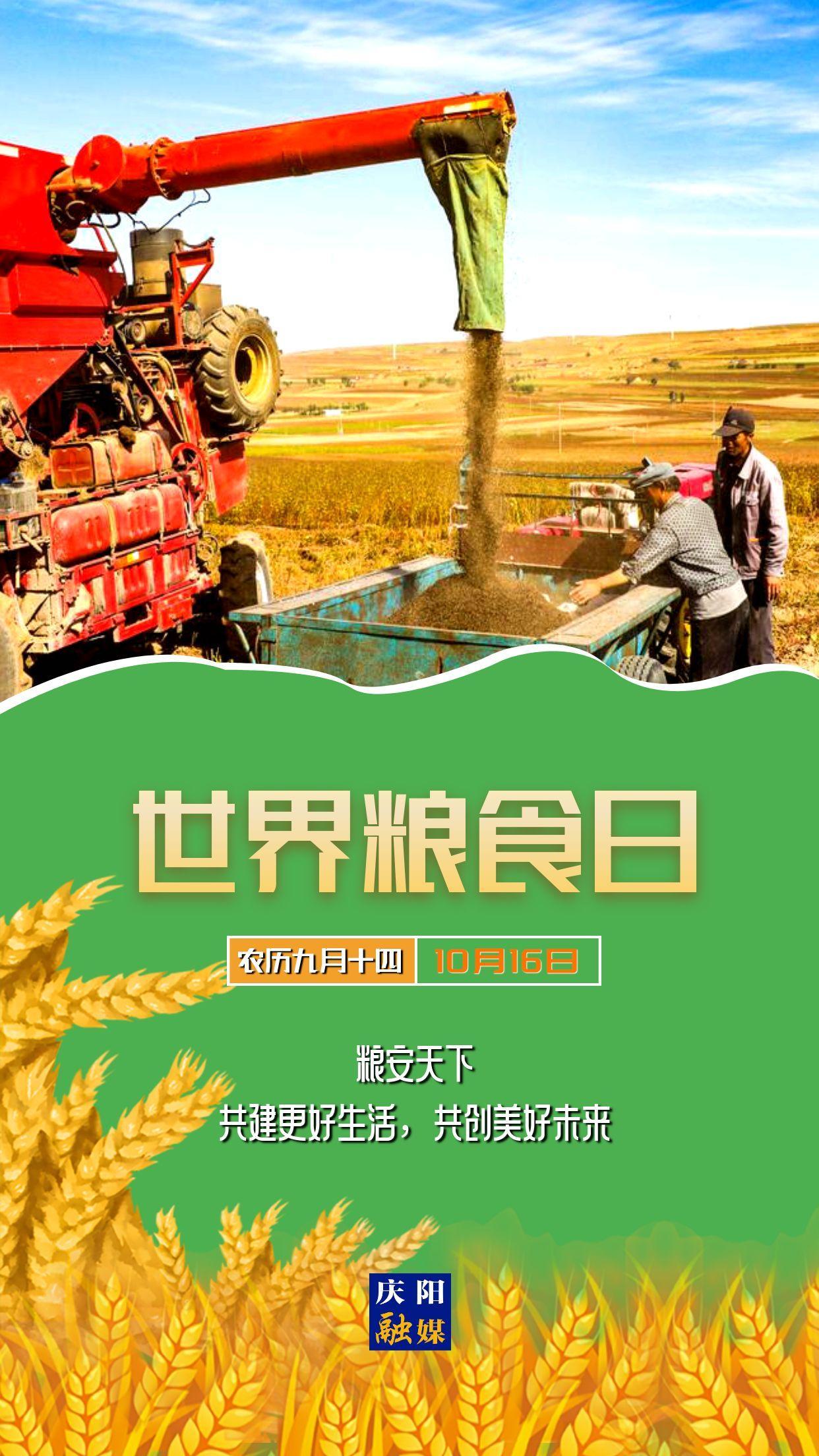 【微海報(bào)】世界糧食日 | 糧安天下，共建更好生活，共創(chuàng)美好未來