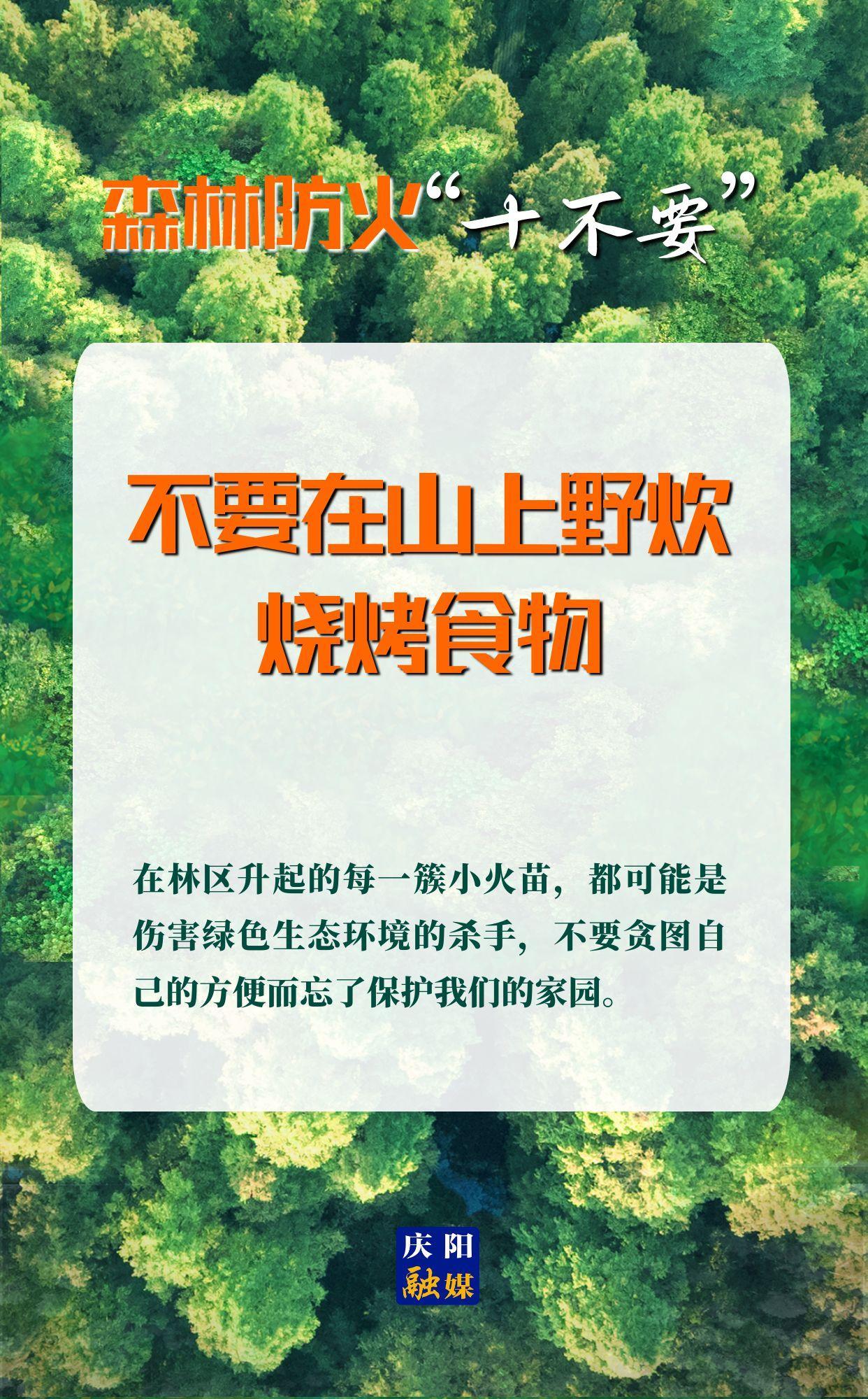 【微海報(bào)】森林防火“十不要”③丨不要在山上野炊、燒烤食物