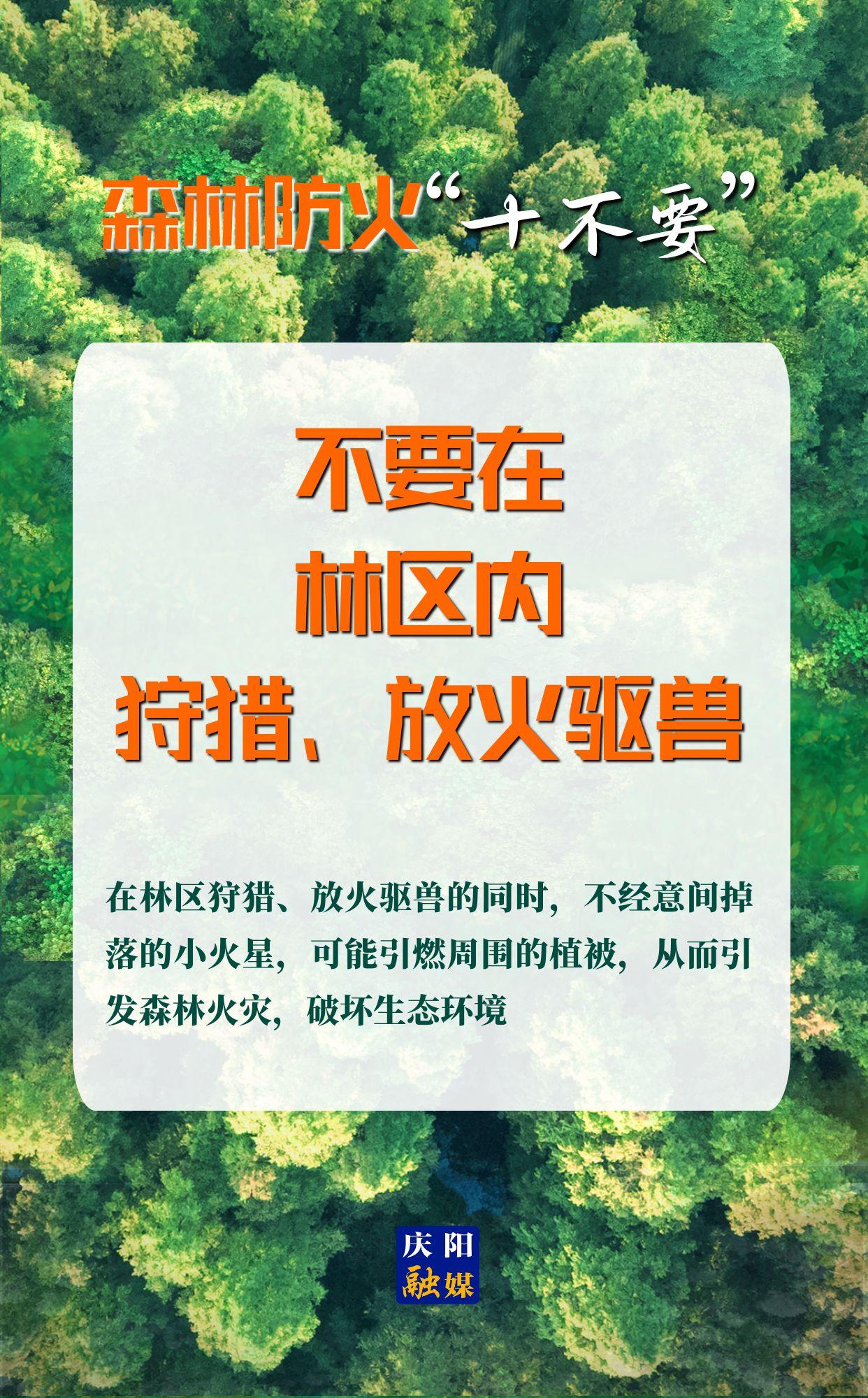【微海報(bào)】森林防火“十不要”⑨丨不要在林區(qū)內(nèi)狩獵、放火驅(qū)獸