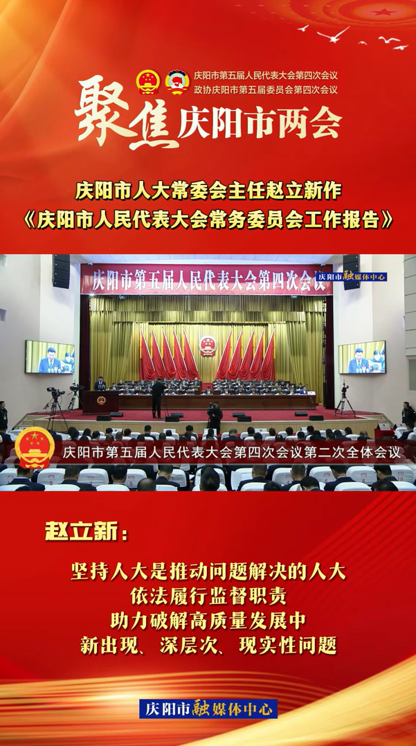 兩會V視(29)丨趙立新：堅(jiān)持人大是推動問題解決的人大，依法履行監(jiān)督職責(zé)，助力破解高質(zhì)量發(fā)展中新出現(xiàn)、深層次、現(xiàn)實(shí)性問題