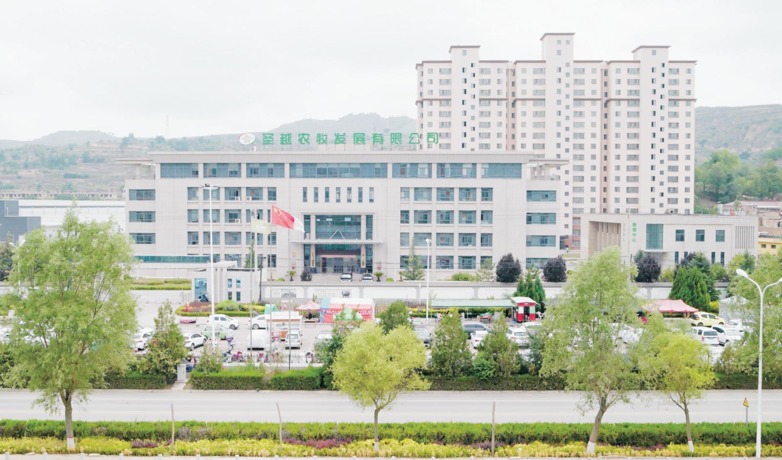 【2024慶陽民營企業(yè)20強風(fēng)采錄(1)】甘肅圣越農(nóng)牧發(fā)展有限公司