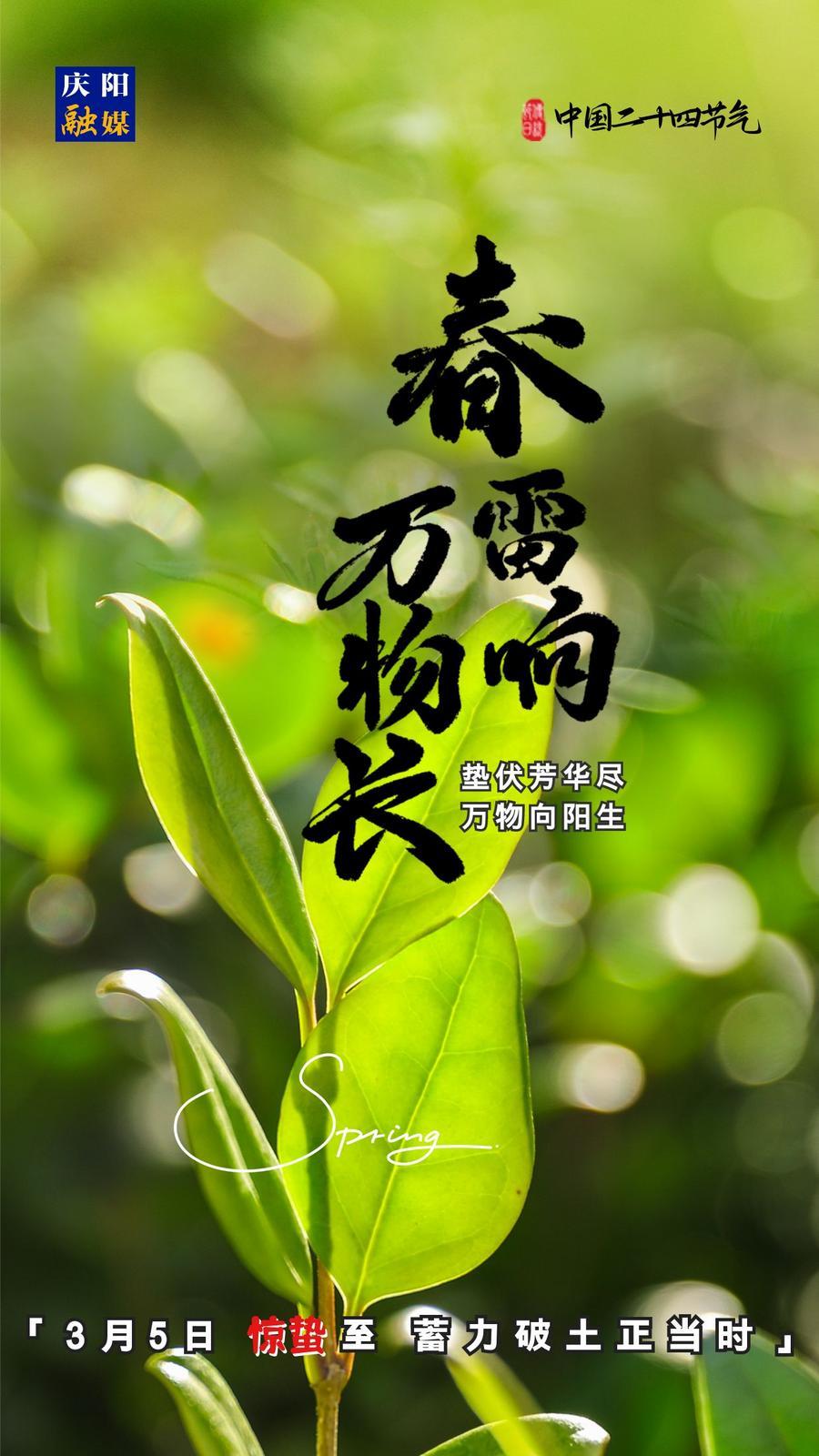 【微海報(bào)】二十四節(jié)氣丨驚蟄至，蓄力破土正當(dāng)時(shí)