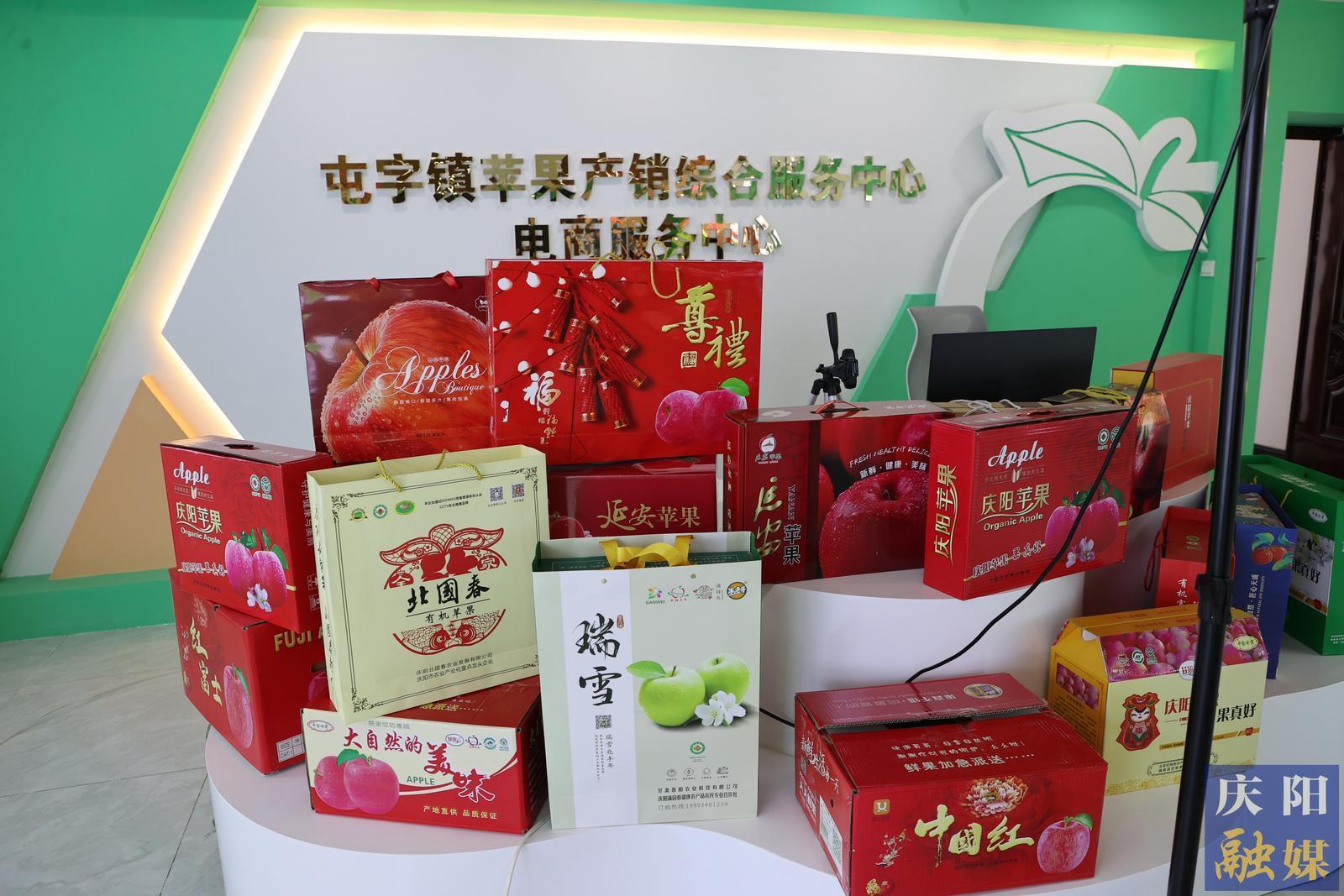 【攝影報道】鎮(zhèn)原縣甘旭果品專業(yè)合作社：蘋果全鏈發(fā)展 引領鄉(xiāng)村產(chǎn)業(yè)振興