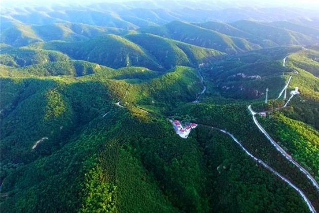一點慶陽 | 大塬的風（文/張建昕）