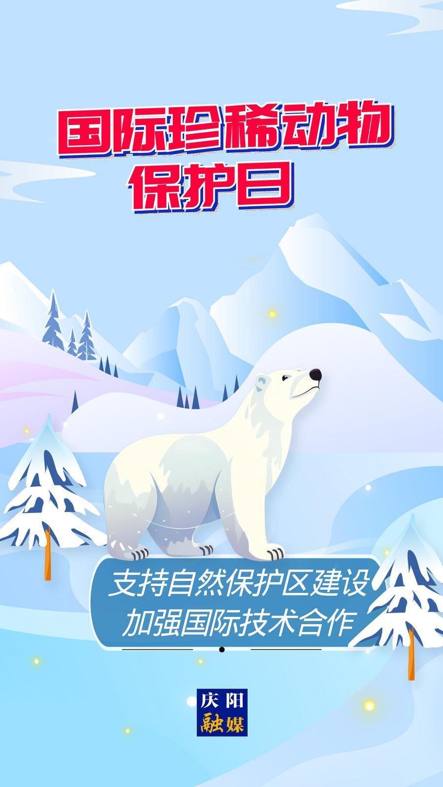 【微海報】國際珍稀動物保護日丨支持自然保護區(qū)建設(shè) 加強國際技術(shù)合作