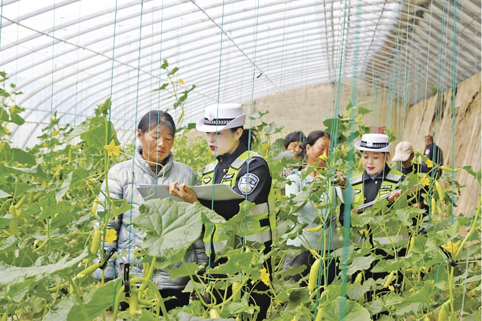 甘肅合水縣公安局：“大棚警務(wù)”架起警民“連心橋”