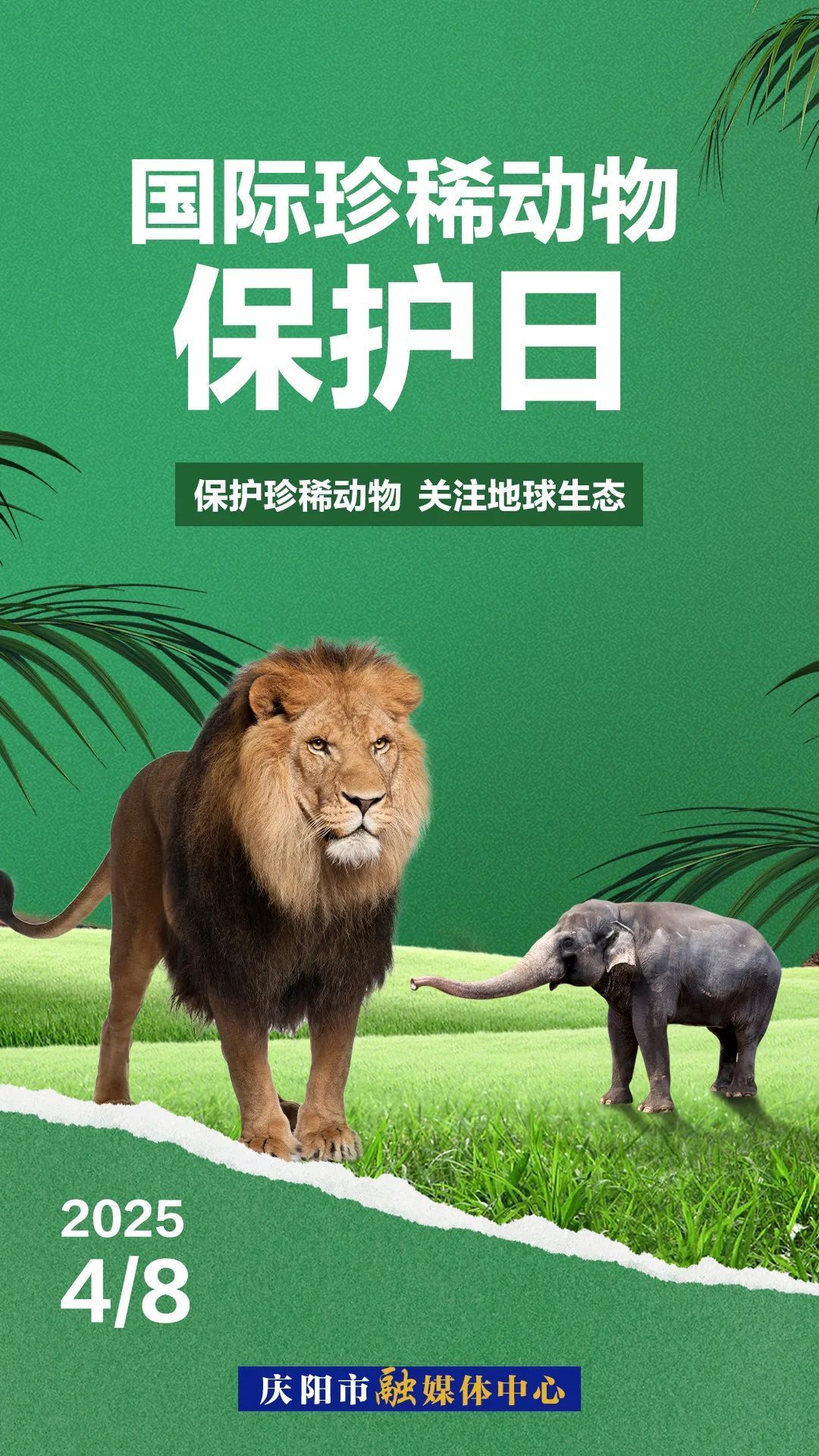 國際珍稀動物保護日丨因為“珍稀”所以“珍惜”