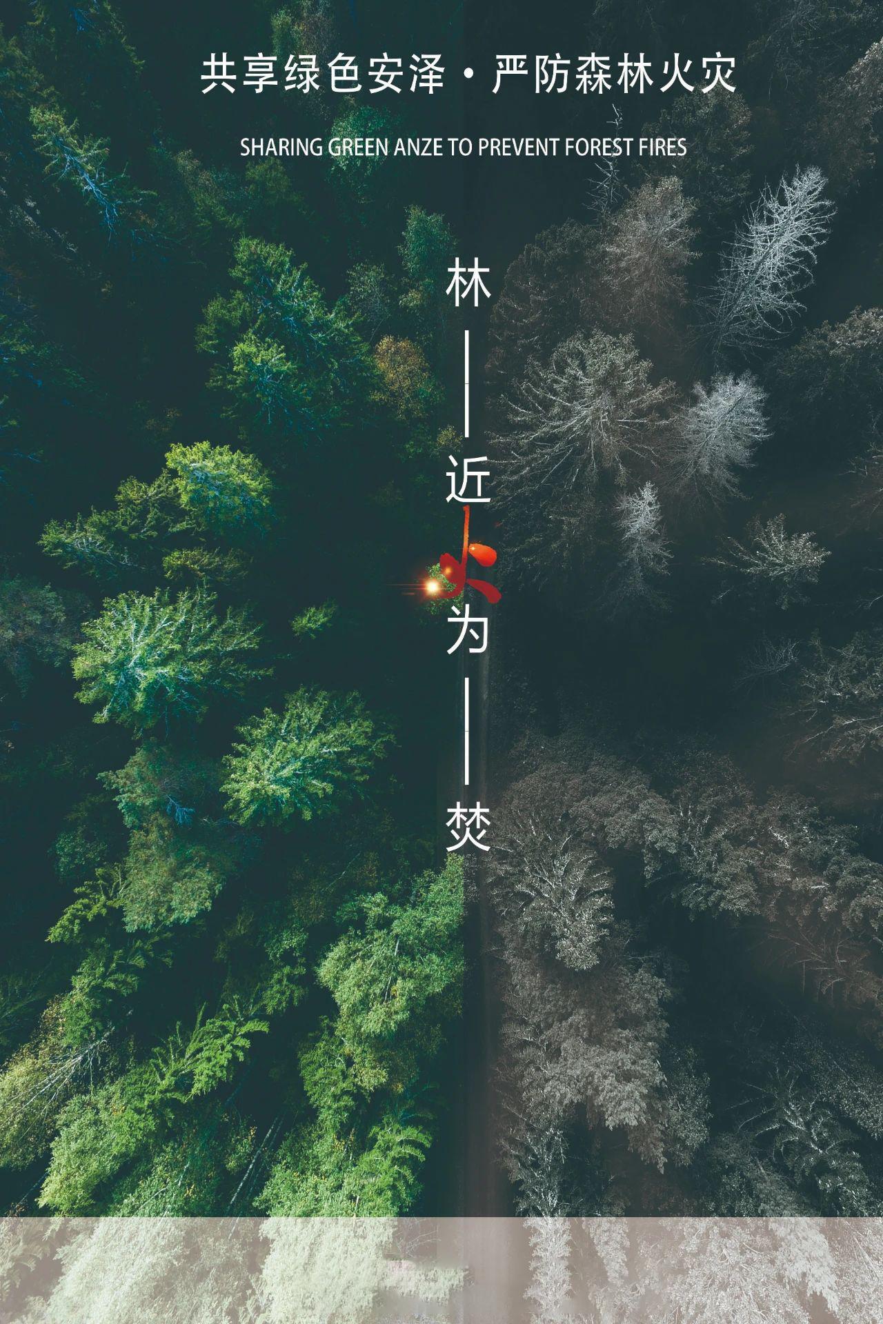 共享綠色安澤·嚴防森林火災(zāi)
