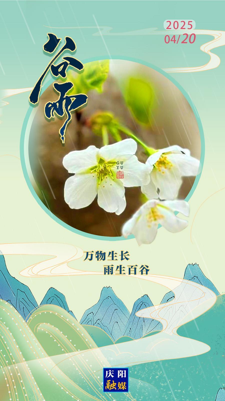 【微海報(bào)】二十四節(jié)氣·谷雨 | 雨生百谷  萬物生長